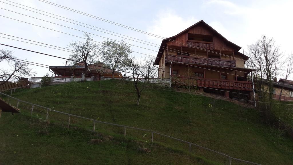 Hotel Casa Irinuca Sadova  Zewnętrze zdjęcie