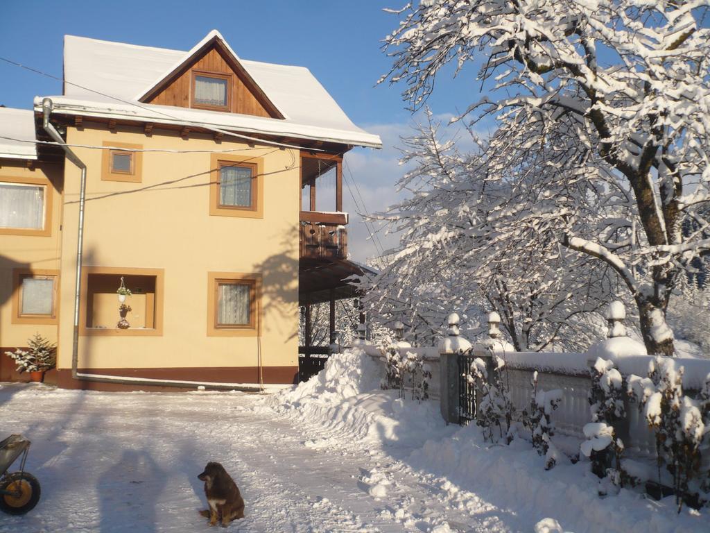 Hotel Casa Irinuca Sadova  Zewnętrze zdjęcie