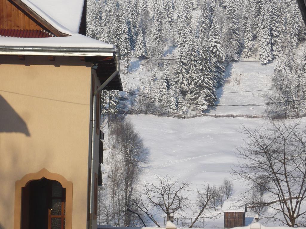 Hotel Casa Irinuca Sadova  Zewnętrze zdjęcie