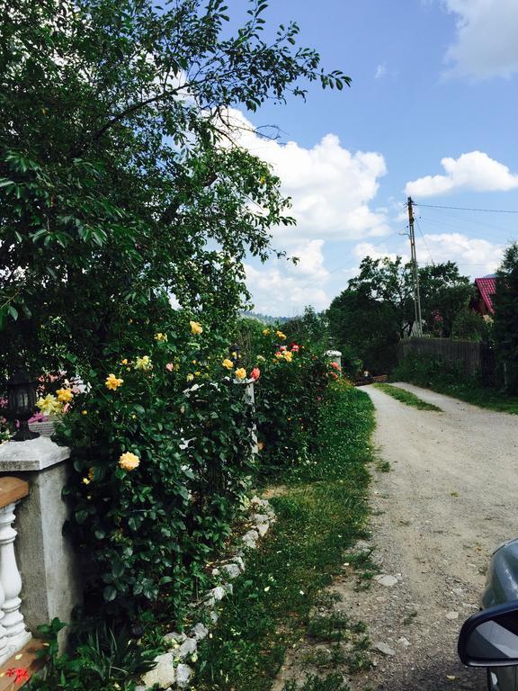 Hotel Casa Irinuca Sadova  Zewnętrze zdjęcie
