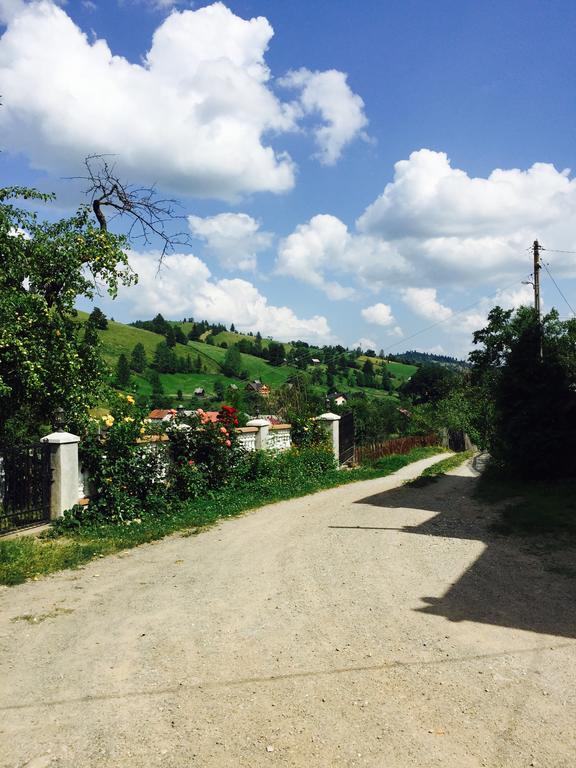 Hotel Casa Irinuca Sadova  Zewnętrze zdjęcie