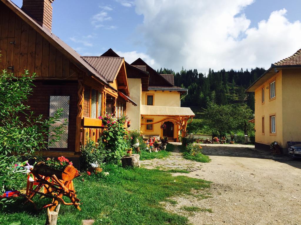 Hotel Casa Irinuca Sadova  Zewnętrze zdjęcie
